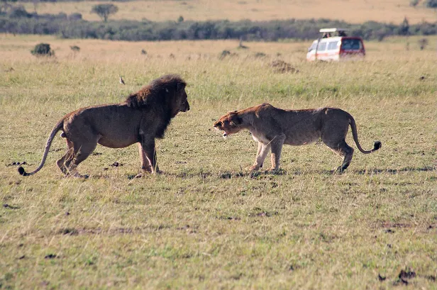 Afrika