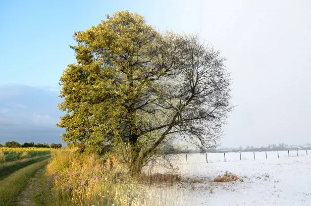 Sommer-Winter