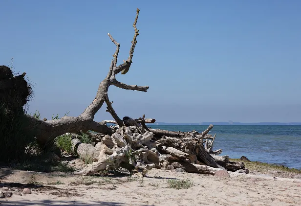 Naturstrand an der Ostsee