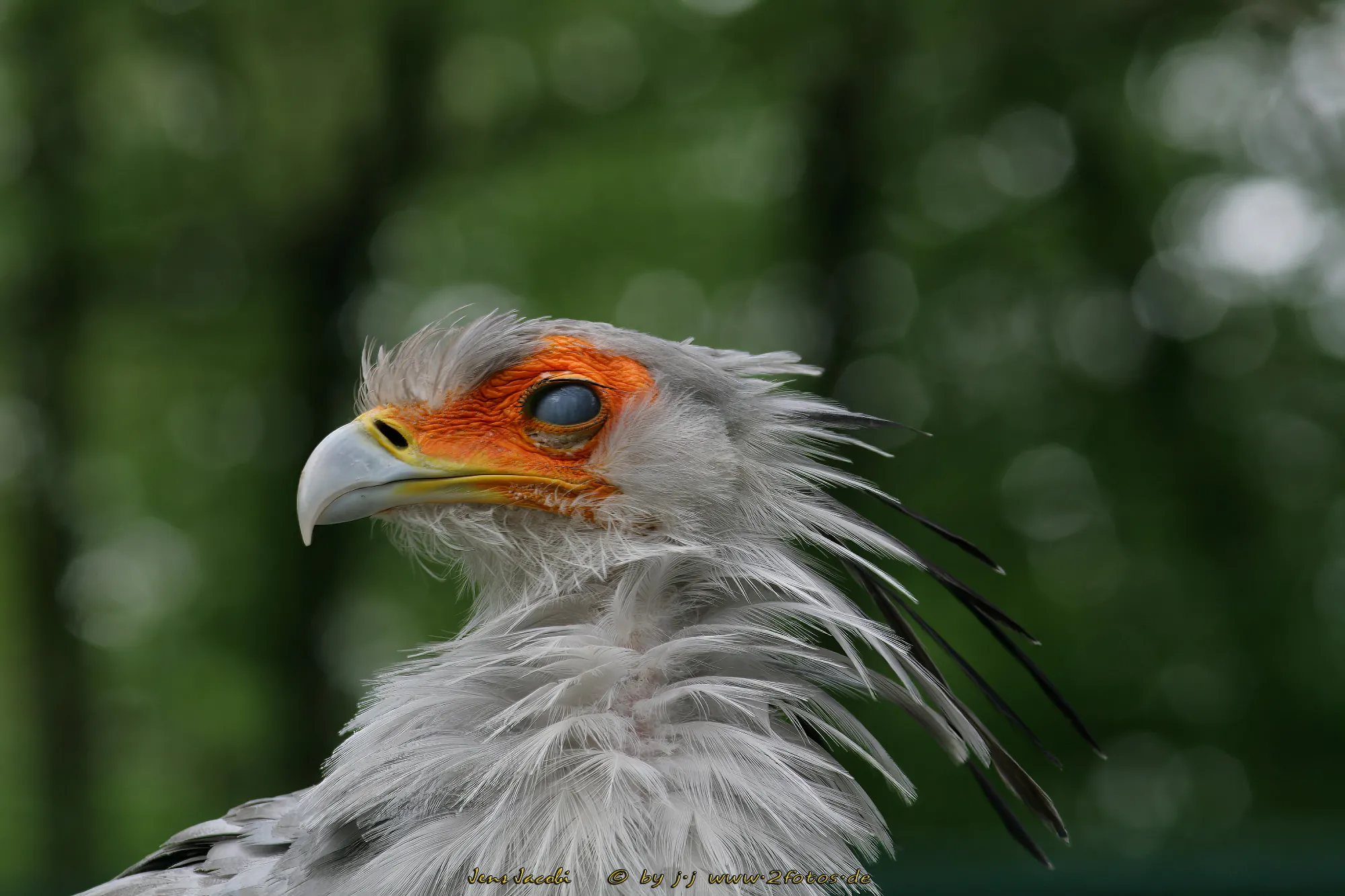 Sekretär 
