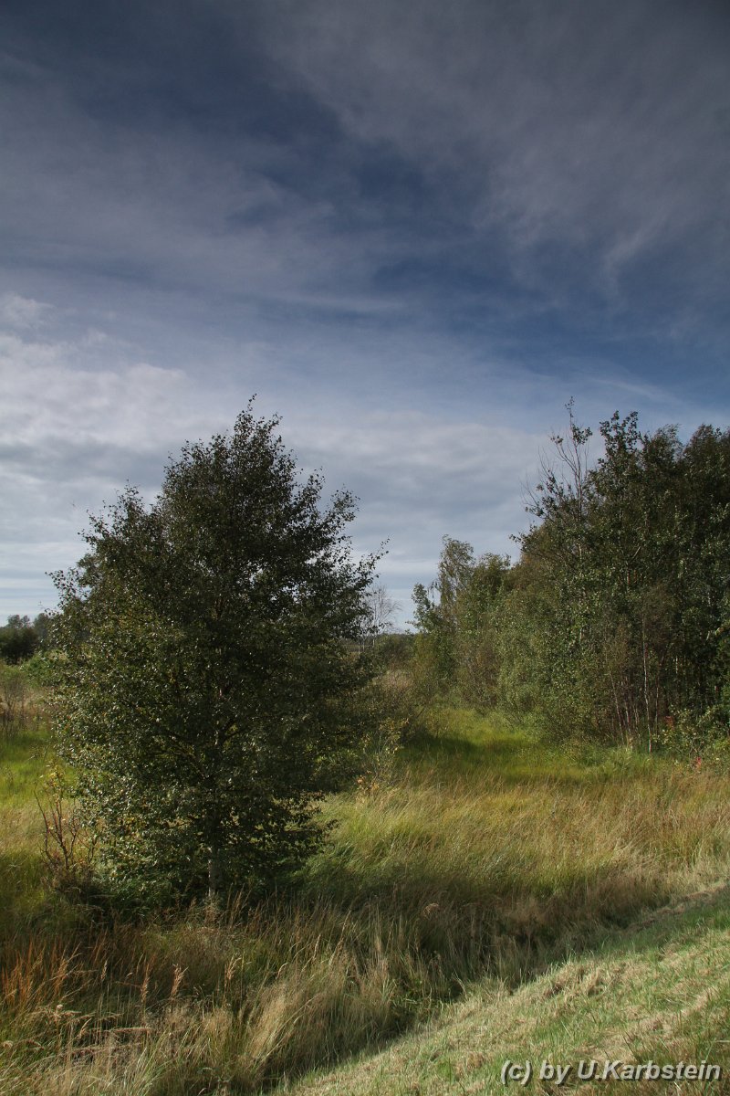 Natur 