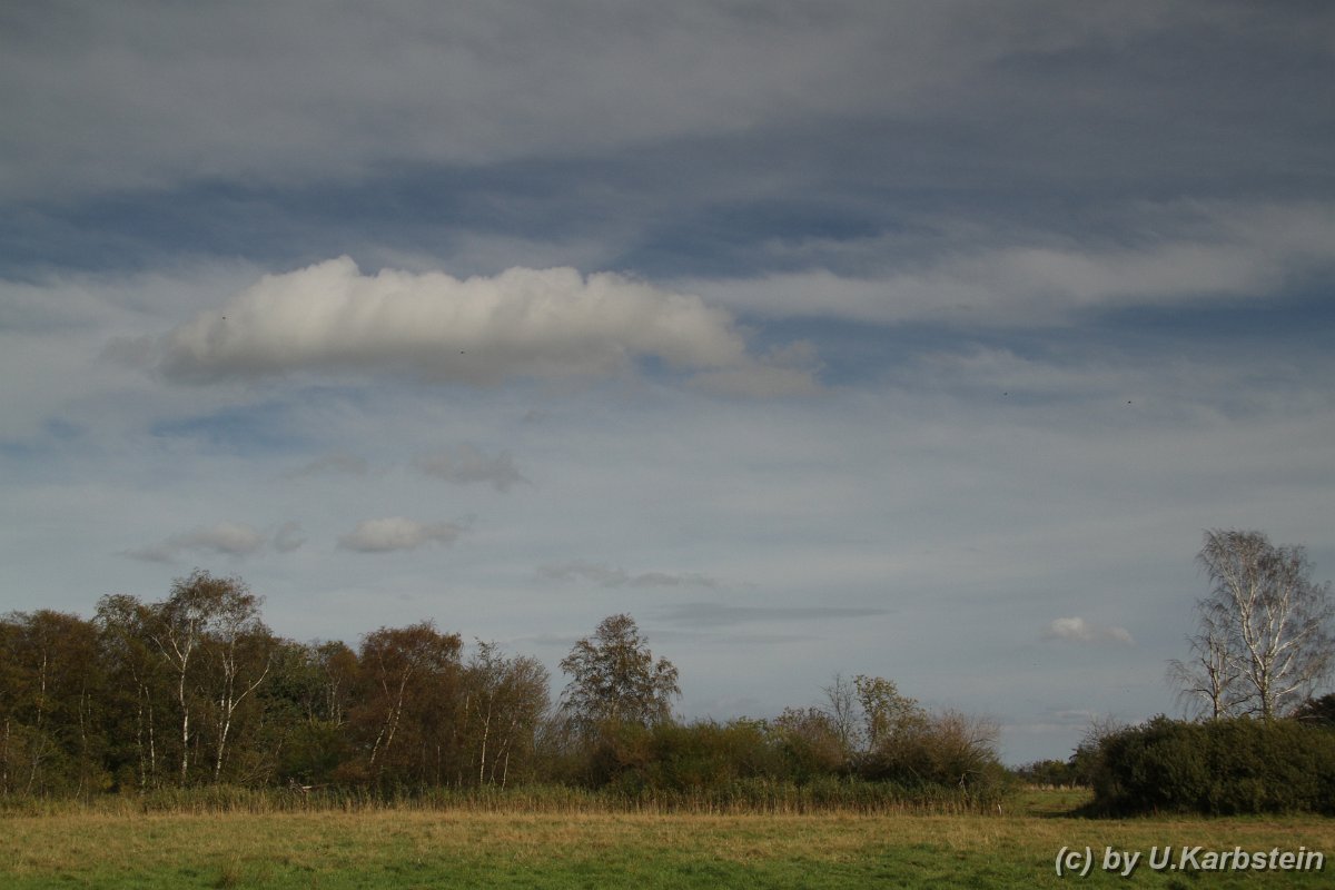 Natur 