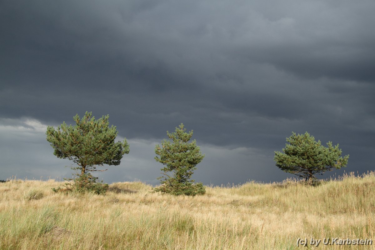 Natur 