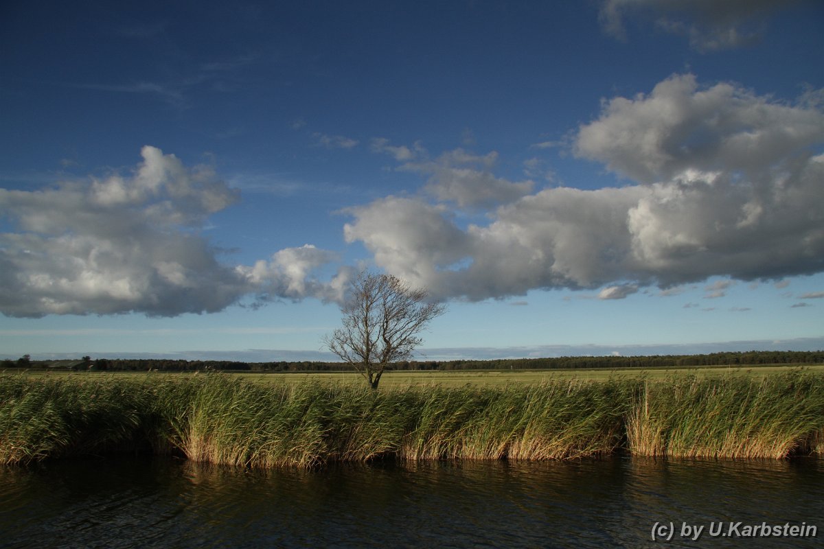 Natur 