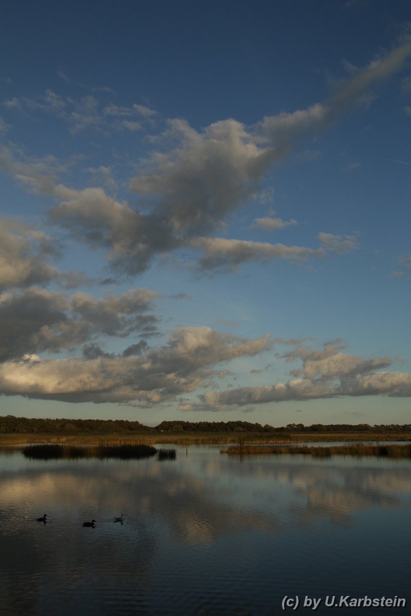 Natur 