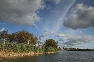 Landschaft