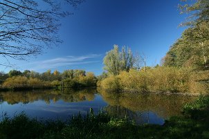 Landschaft